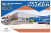 ICONOS - CUSurICONOS AGOSTO2018 · 2 · Directorio UNIVERSIDAD DE GUADALAJARA - Rector General - Dr. Ricardo Villanueva Lomelí - Vicerrector Ejecutivo - Dr. Héctor Raúl Solís Gadea