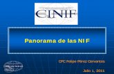 Panorama de las NIF - CPCES · NIF P O S I B L E S D I F E R E N C I A S NIF B-2, Estado de flujos de efectivo NIF B-3, Estado de resultados NIF B-10, Efectos de la inflación NIF