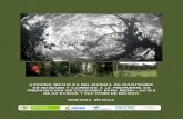 AA APPPOOORRRTTTEEESSS …...soporte a la Política Ambiental y de Manejo en Colombia”, Instituto de Hidrología, Meteorología y Estudios Ambientales (IDEAM), Ministerio de Ambiente