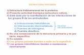 ESTRUCTURA TERCIARIA - UNAMdepa.fquim.unam.mx/amyd/archivero/EstructuraTerciariaCuaternaria_32979.pdf · iÓnicas/salinas electrostÁticas hidrofÓbicas iÓnicas/salinas puentes de
