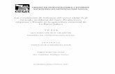 ciesas.repositorioinstitucional.mx · 2017-12-04 · 2 SUPERIORES EN ANTROPOLOGÍA SOCIAL Página de Firmas Título: Las condiciones de inclusión del sector ejidal en el mercado