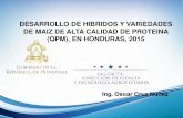 DESARROLLO DE HIBRIDOS Y VARIEDADES DE MAIZ DE ALTA ...lac.harvestplus.org/wp-content/uploads/2015/09/AntecedentDICTA_OCruz_T... · INDICE DE POBREZA EN HONDURAS Población 8.4 millones