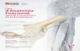 Curs d’Anatomia FuncionalCurs d’Anatomia Funcional aplicat a la pràctica de la Fisioteràpia. DATA I HORARI 27 d'abril i 4 i 11 de maig de 2019 de 09:00h a 14:00h. (15h. lectives)