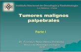 Presentación de PowerPoint - Infomeduvsfajardo.sld.cu/.../tumores...palerables_parte_i.pdf · Constituye el 90% de los tumores malignos de los parpados. Presenta predilección por