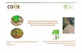Certificación de la biomasa forestal, instrumento clave ... · • 3er país de la UE en superficie forestal arbolada • ritmo anual de crecimiento del 2,19% (media europea de 0,51%)