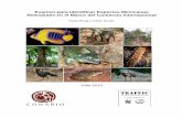 Relevantes en el Marco del Comercio Internacional Examen ... · estado de conservación de especies mexicanas, en el periodo 2005 - 2010. 2. Obtener los listados de especies relevantes