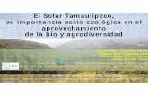 El Solar Tamaulipeco, su importancia socio ecológica en el aprovechamiento de …red-sam.org/wp-content/uploads/S26-7-CLAUDIA-ELENA.pdf · 2018-08-18 · Victoria, Tamaulipas, 87019,