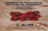 RAUL LOPEZ.AGUILAR MARCO REAL·ROSAS EDUARDO … · ltivo de Tomate en El Valle de Vizcaíno RAUL LOPEZ.AGUILAR MARCO REAL·ROSAS EDUARDO VILLAVICENCIO-FLORIANI ARMANDO LUCERO-ARCE