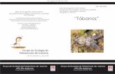 ISSN: 1853-5852 Serie de divulgación sobre insectos de ...produccion-animal.com.ar/fauna/Fauna_insectos/07-tabanos.pdf · Grupo de Ecología de Poblaciones de Insectos INTA EEA Bariloche