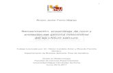 anotación del genoma mitocondrial del ajo (Allium sativumdspace.umh.es/bitstream/11000/4165/1/TFG Ferriz Mejías, Alvaro Javier .pdfcomplejos enzimáticos comoel que realiza la fosforilación