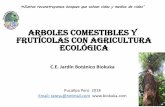 Arboles comestibles Y FRUTÍCOLAS con agricultura ecológica · La amazonia peruana PROBLEMATICA Incremento de la deforestación y áreas degradados mediante agricultura convencional