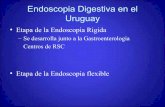 Historia de la Endoscopia Digestiva en el UruguayClinica Med. Op. Dr. Enrique Puey. Desarrollo de la Gastroenterologia en el Uruguay- Cronograma • 1928 Dr. Julio Carrere : Centro