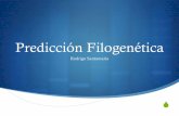 Predicción Filogenéticavis.usal.es/rodrigo/documentos/bioinfo/temas/6_Predicción Filogenética.pdf · Hipótesis del reloj molecular ! “Para cada gen o proteína, la tasa de