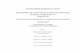 Universidad de Buenos Aires Facultades de Ciencias ...bibliotecadigital.econ.uba.ar/download/tpos/1502-0819_MillaReyesEJ.pdf · Presentar los modelos de confianza utilizando certificados