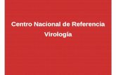 Centro Nacional de Referencia Virología R40 2019-002.pdf · Listado de análisis y condiciones para recepción de muestras Inciensa-R40 Versión 1 Consecutivo: 2019-002 “Documento