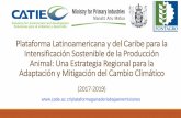 Plataforma Latinoamericana y del Caribe para la ... · o Experiencia Ganaderia Sostenible (SSP, enfoque ambiental, Capacitacion, varios públicos, etc.) o Nodo regional para la plataforma