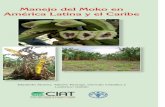 Manejo del Moko en América Latina y el CaribeUsar material de siembra sano y certificado, que ... producción, altos costos de erradicación y cuarentenas vegetales. Manejo de la