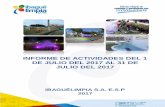 INFORME DE ACTIVIDADES IBAGUÉLIMPIA · 2018-07-28 · 1.2 PODAS DE ARBOLES Se realizaron un total de 291 podas correspondientes al 102% de un total de 285 actividades estipuladas