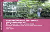 Rehabilitacion de áreas degradadas en la Amazonia peruana · conservación de la biodiversidad, el abastecimiento de materias primas y los ingresos provenientes del bosque para los