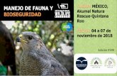 MANEJO DE FAUNA Y LUGAR: MÉXICO, Akumal Natura ... · EL curso de Manejo de Fauna de Biotropical Institute ha recibido la máxima distinción de calidad académica de Europa, el