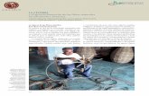 LA CEStEríA y el aprovechamiento de las fibras naturales en alcomulco, Veracruzbioteca.biodiversidad.gob.mx/janium/Documentos/7306.pdf · 2018-02-02 · en veracruz, la cestería