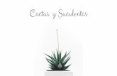 Cactus y Suculentas - corperu.comP r e c i o s + I G V 1 2 a 2 5: S/ . 1 4 . 50 2 6 a 50: S/ . 1 3 . 50 51 a 1 00: S/ . 1 2 . 50 M a 1 0c 1 e