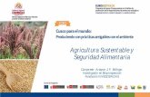 Agricultura Sustentable y Seguridad Alimentaria · Dr. David Juan Ferriz Olivares SJY. 74/8 - La contaminación de suelos y aguas producida por unos productos que, a partir de la