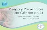 Riesgo y Prevención de Cáncer en EII · Educar sobre las recomendaciones de cernimiento de cáncer colorrectal Cómo reducir el riesgo en Crohn y Colitis Ulcerosa (CU) Qué es el