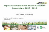 Aspectos Generales del Sector Azucarero Colombiano 2012 2013 · Balance del Sector Azucarero Colombiano El Azúcar y la Competitividad de la Industria Sobre los Instrumentos de Política