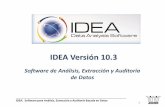 IDEA Versión 10 · utiliza un procedimiento inverso al de las tradicionales Auditorías Basadas en Sistemas, también conocidas como “Pruebaspaso a paso”o walkthrough o “pruebasde