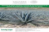 Nutrición de Agave tequilana y manejo de los fertilizantes ...de los fertilizantes, poniendo al alcance de técnicos y productores información sobre las demandas de N, P, K, Ca y