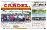 ÁÁAferrados como iguana A ferrados com o iguana een mata ... · En Carretas municipio de Paso de Ovejas, festejaron el ... esta vez fue el camión de pasaje de la Pureza, que no