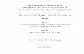 Maestría en Seguridad Informática157.92.136.59/download/tpos/1502-0564_BendinelliM.pdf · Universidad de Buenos Aires Facultades de Ciencias Económicas, Ciencias Exactas y Naturales