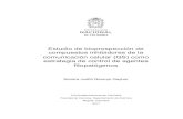Estudio de bioprospección de compuestos inhibidores de la ...bdigital.unal.edu.co/63994/1/Tesis_doctorado_Sandra Naranjo.pdf · aisladas por diluciones sucesivas hasta recuperar