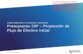 Pacific Exploration & Production Corporation Presupuesto ...filecache.investorroom.com/mr5ircnw_pacificrubiales... · Los compromisos de exploración para Brasil estarán incluidos