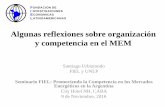 Algunas reflexiones sobre organización y competencia en el MEM · y competencia en el MEM Santiago Urbiztondo FIEL y UNLP . ... France Peru Ukraine Chile Uruguay South Africa Poland