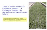 Tema 1. Introducción a la Fisiología Vegetal . La ... · de control permite. Repercusión Agricultura Incrementar Producción cultivos ... Introducción al metabolismo vegetal Bloque