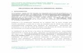 RELATORIO DE IMPACTO AMBIENTAL (RIMA)archivo.seam.gov.py/sites/default/files/users/control/... · 2014-12-09 · de la Legislación Ambiental vigente que tienen influencia directa