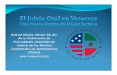Alianza Estatal México-EE.UU. de la Conferencia de ... · Dr. Víctor Núñez, Subprocurador, Fiscalía del Condado de San Diego, California Dra. Lilia E. García, Subprocuradora,