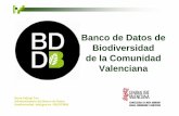 Banco de Datos de Biodiversidad de la Comunidad Valenciana · Situación actual:La especie se considera globalmente en regresión. En la Comunidad Valenciana, la población javalambrense