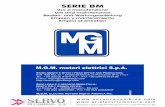 Ficha Mantenimiento Motor MGM BM - Servorecambios · tenga tension. En caso de ineficiencia de frenada, durante las operaciones de instalación, mantenimiento, ajuste o recambios