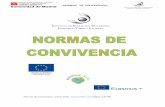 NORMAS DE CONVIVENCIA - IESFTV · NORMAS DE CONVIVENCIA Normas de Convivencia. Junio 2019. Página 7 de 90 1.3. Catálogo de puestos de la organización y áreas de responsabilidad.