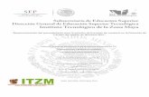 Instituto Tecnológico De La Zona Maya · 2017-01-31 · 1 INSTITUTO TECNOLÓGICO DE LA ZONA MAYA “Reestructuración del procedimiento para la emisión de licencias de conducir