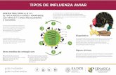 tipos de influenza aviar · 2019-03-29 · TIPOS DE INFLUENZA AVIAR Es una enfermedad que se propaga rápidamente, su nivel de contagio es elevado y causa la muerte de las aves. En