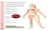UNA MAQUINA PERFECTA - URLbiblio3.url.edu.gt/Libros/2012/atlas/1.pdf · del maravilloso proceso de procreacion de nuevos seres locomotor los huesos constituyen el armazon del organismo