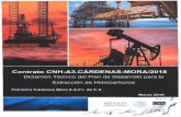 Contrato CNH-A3.CÁRDENAS-MORA/2018 · 2019-12-19 · l. Datos generales del Contrato El Contrato CNH-A3.CÁRDENAS-MORA/2018 (Contrato) para la Extracción de Hidrocarburos, bajo