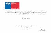 Propuesta de plan estratégico para la agricultura …...«Propuesta de plan estratégico para la agricultura orgánica chilena 2010-2020 » Informe final Oficina de Estudios y Políticas