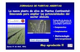 La nueva planta de olivo de Plantas Continental: Innovando para … · 2019-01-30 · Jueves 21 de Abril, ... PGPM y control biológico de patógenos Perjudiciales Los beneficios