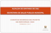 ALCALDIA DE SANTIAGO DE CALI SECRETARIA DE SALUD …calisaludable.cali.gov.co/seg_social/2012_Seguridad... · 2012-07-26 · conocimiento de las características del sistema, en el
