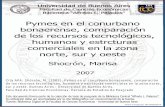 Pymes en el conurbano bonaerense, comparación de los ...bibliotecadigital.econ.uba.ar/download/tpos/1502-0219_ShocronM.pdf · relación a los recursos tecnológicos, humanos y sus